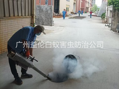 钟落潭街道消灭蚊虫工程